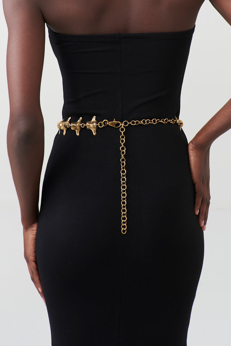 KATHIANI SPINE BELT